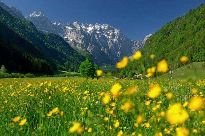 Entire Loft Close To Beautiful Logar Valley Recica ob Savinji 外观 照片