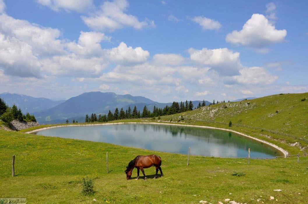 Entire Loft Close To Beautiful Logar Valley Recica ob Savinji 外观 照片